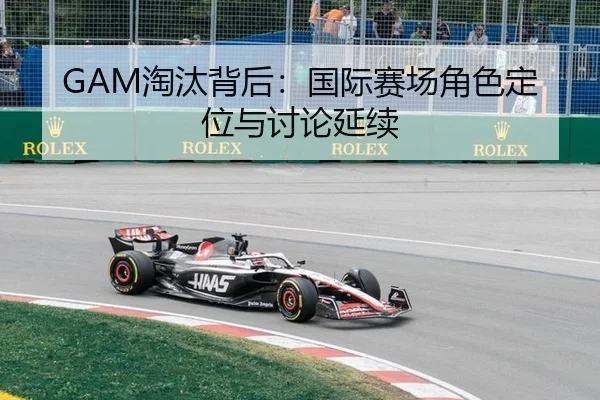 GAM淘汰背后：国际赛场角色定位与讨论延续